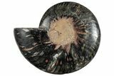 Cut & Polished Ammonite Fossil (Half) - Unusual Black Color #286654-1